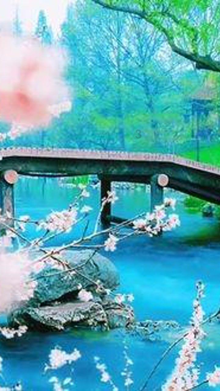 我的太空旅行